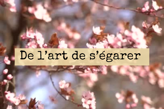 Je suis sortie acheter du pain et j’ai rencontré la beauté