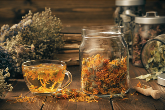 L’Infusion Slow : Un Rituel de Douceur au Fil des Saisons