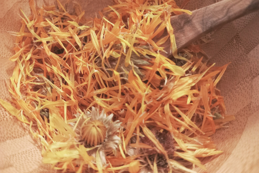 🍵 Infusion Slow : L'Éveil Printanier
