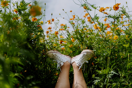 🌼 6 Gestes simples pour accueillir la lumière et renouveler son énergie