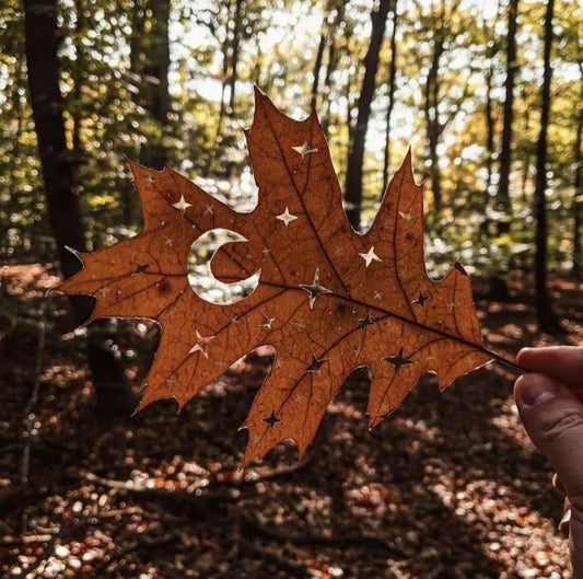 🍁 Célébrer Mabon 🍁