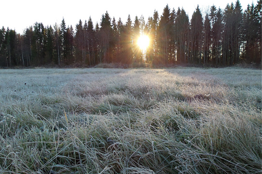 Le temps d’une pause, l’instant d’un souffle